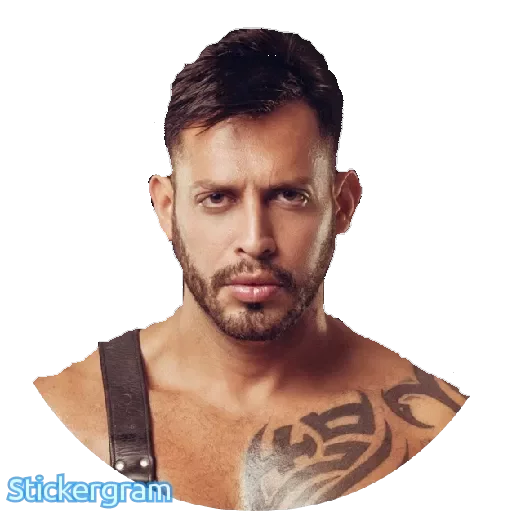 Sticker set «Viktor rom» for Telegram for free and without registration